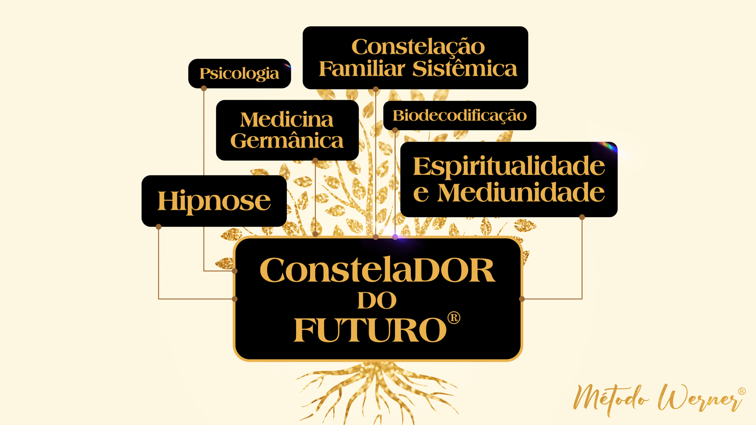 Bem-vindos ao Códigos do Espírito Método Werner®